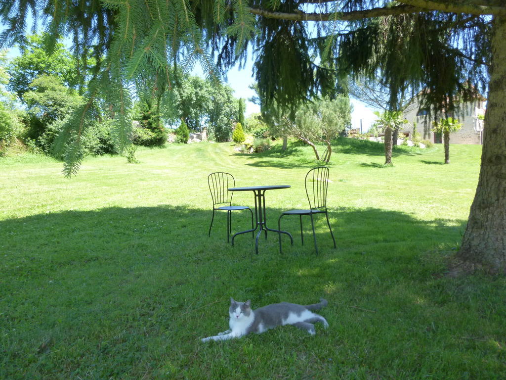 Au Mas De Gamet Bed and Breakfast Théminettes Buitenkant foto