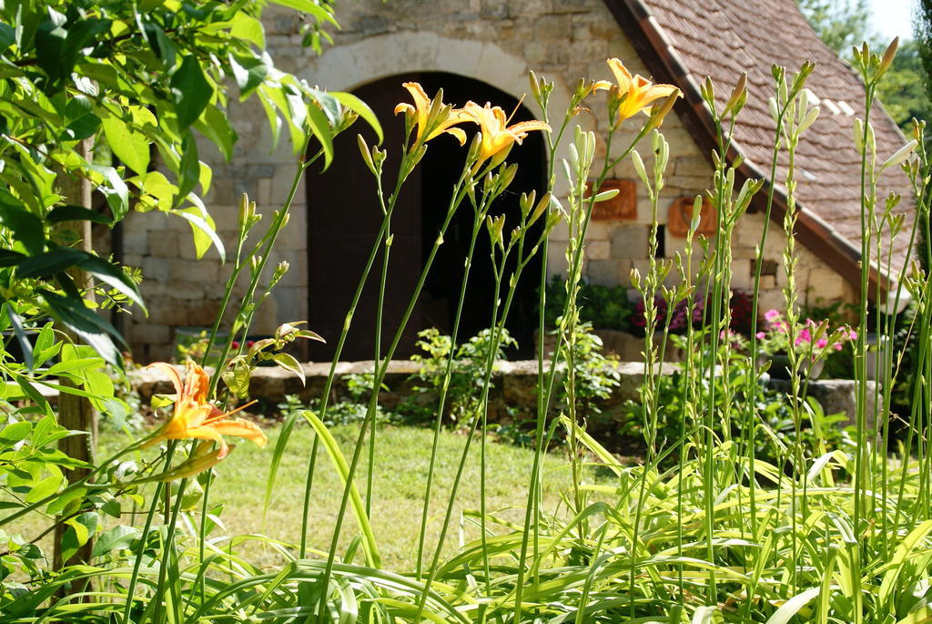 Au Mas De Gamet Bed and Breakfast Théminettes Buitenkant foto