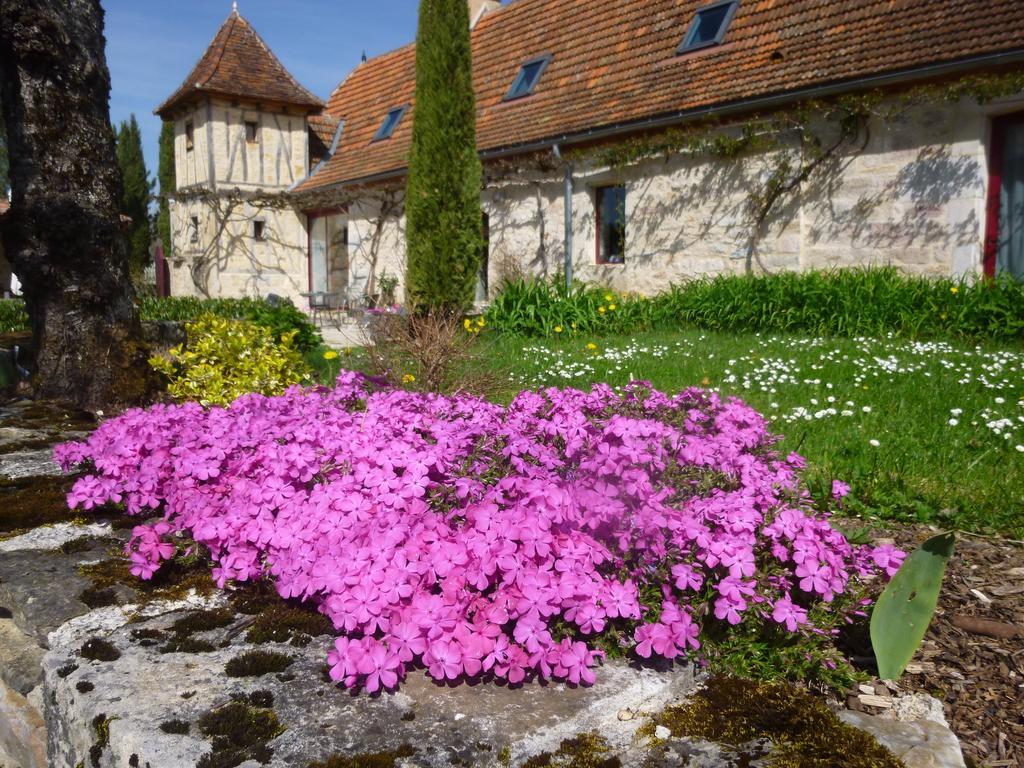 Au Mas De Gamet Bed and Breakfast Théminettes Buitenkant foto