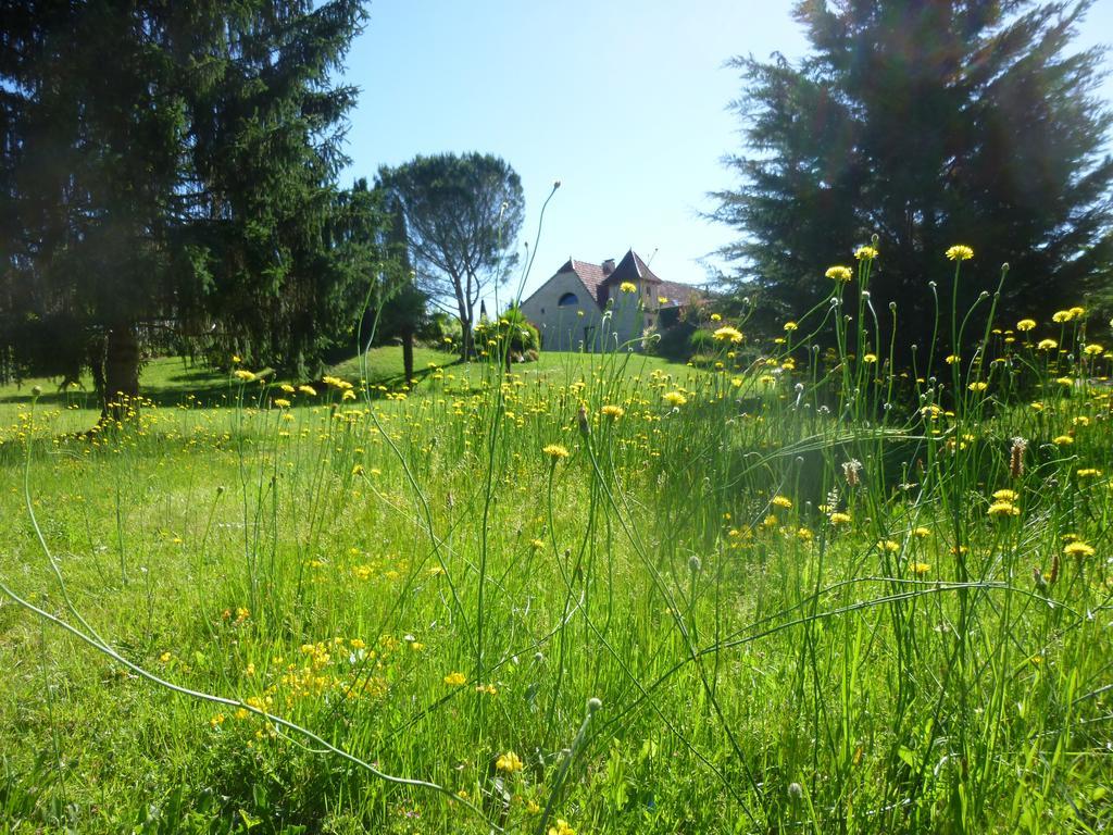 Au Mas De Gamet Bed and Breakfast Théminettes Buitenkant foto